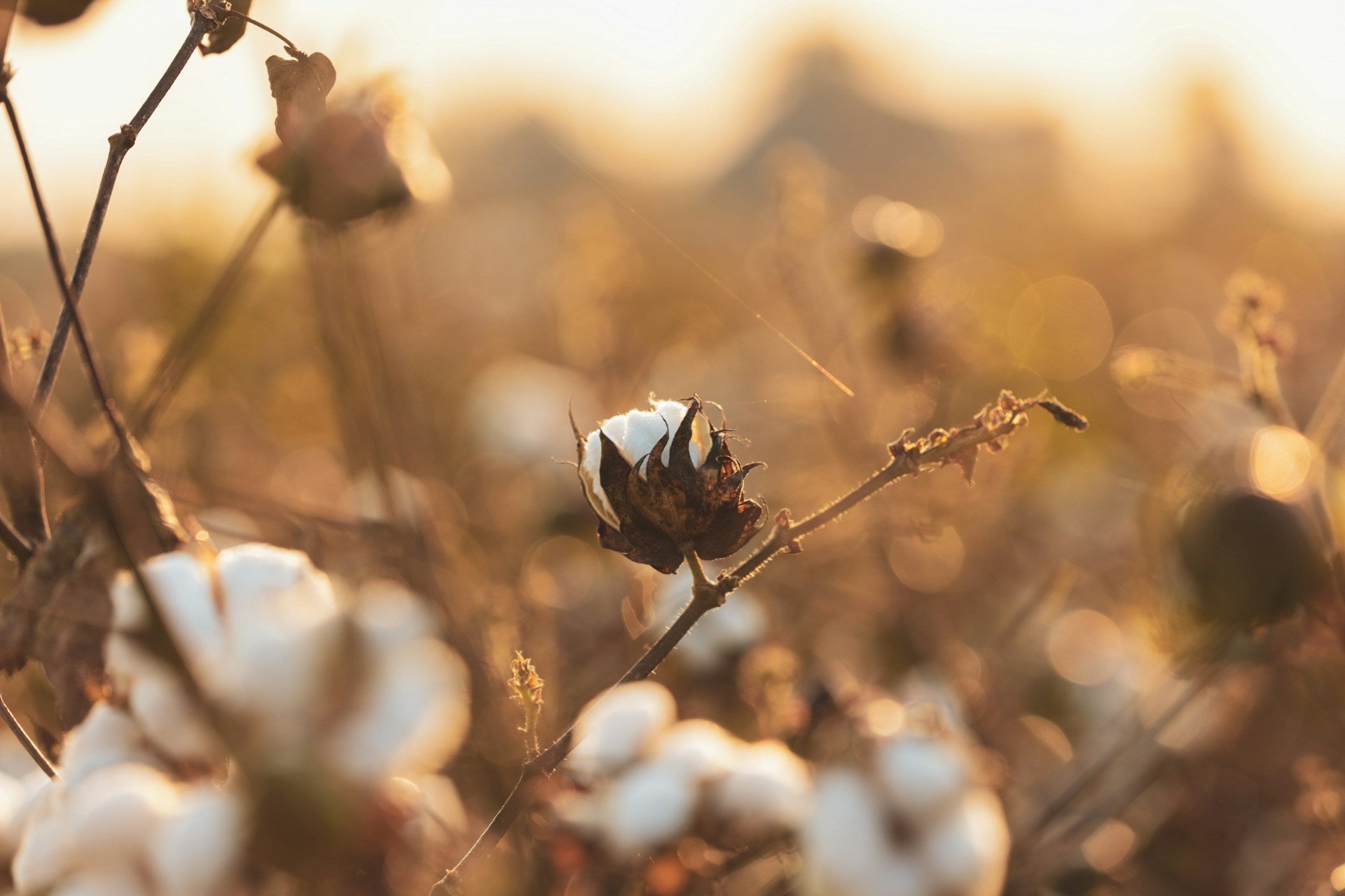 Microfiber vs Cotton Sheets: Which is Better? - Touchofgod.co